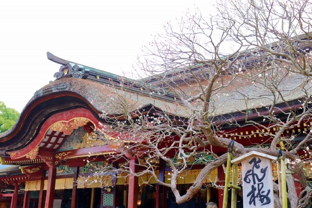 Fukuoka’s Historic Treasures: A Journey through Dazaifu Tenmangu Shrine